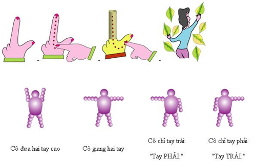 Phương pháp tượng hình
​Chữ L